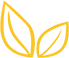 打造网络印刷平台