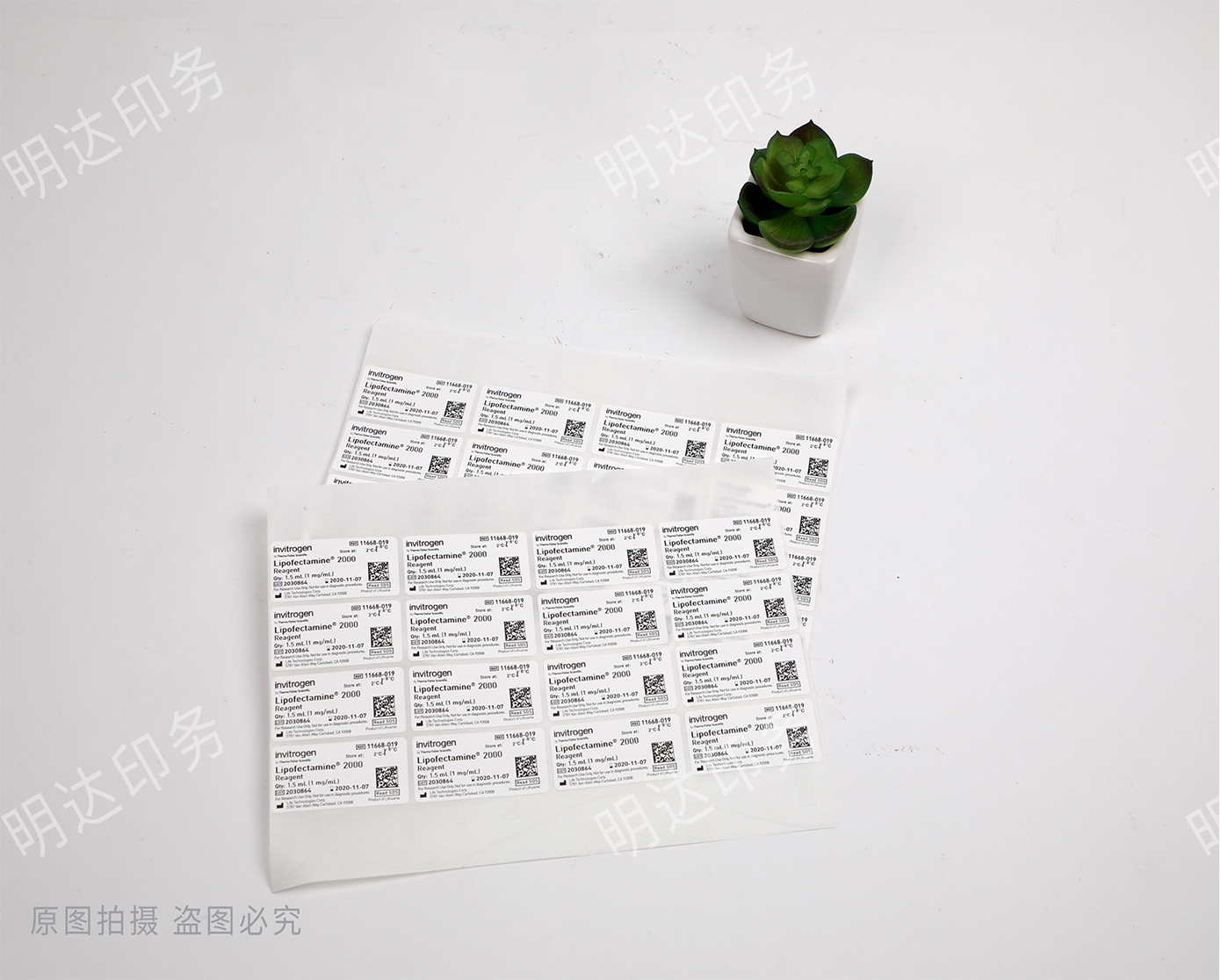 白色PVC瓶贴