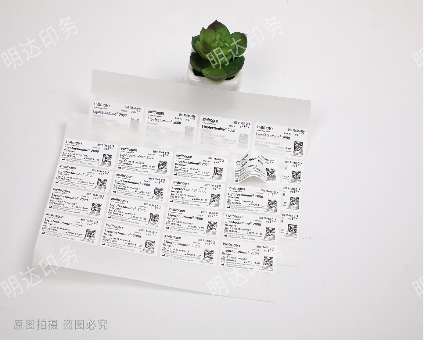 白色PVC瓶贴